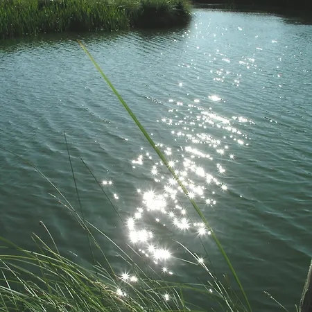 Ruegen Fewo-lohme Auf Jasmund *