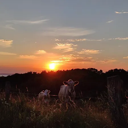 Апартаменты Ruegen Fewo-lohme Auf Jasmund Ломе