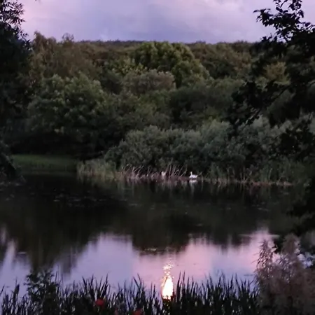 Ruegen Fewo-lohme Auf Jasmund Апартаменты